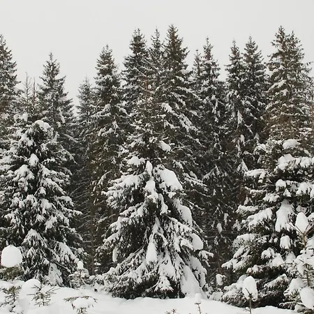 Alojamento de Turismo Selvagem Gutsulwood Yablunytsya