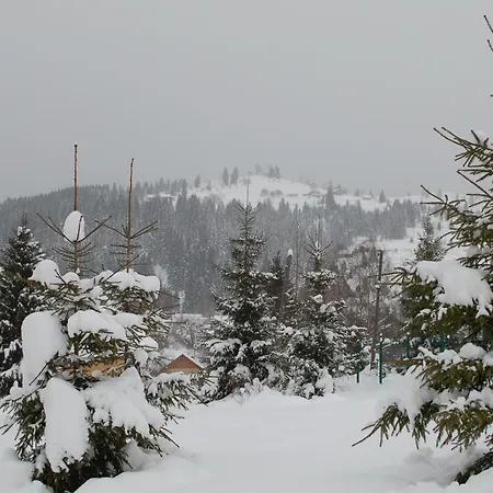 Gutsulwood 山林小屋 亚布卢尼齐亚