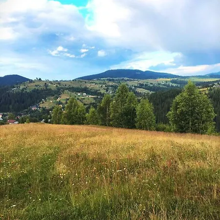 Gutsulwood * 亚布卢尼齐亚