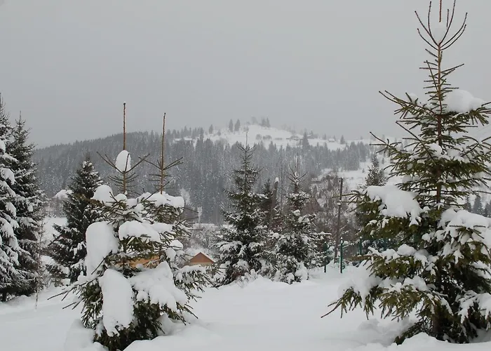 Gutsulwood Lodge Yablunytsya