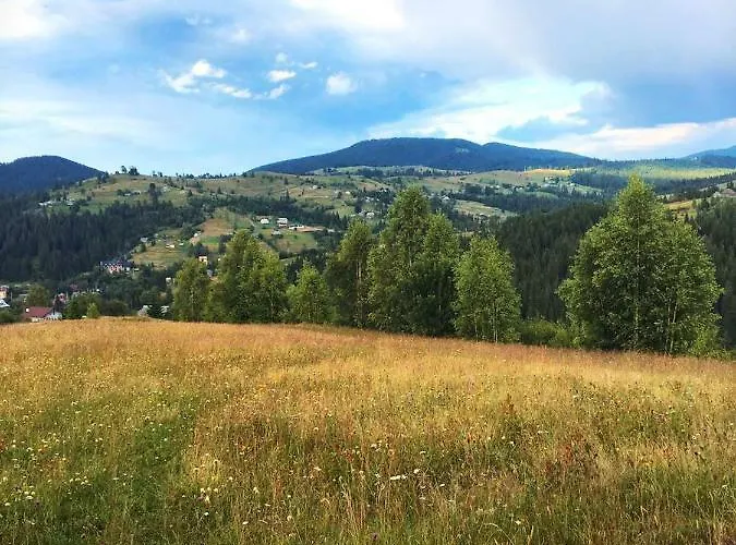 Gutsulwood * Yablunytsya